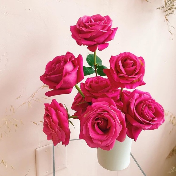 Meet your Posher, Arielle - Picture 1 of 1